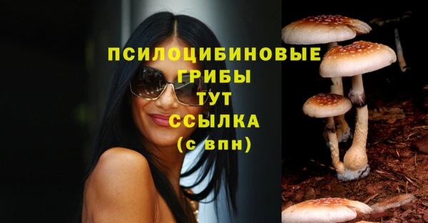ПСИЛОЦИБИНОВЫЕ ГРИБЫ Белокуриха