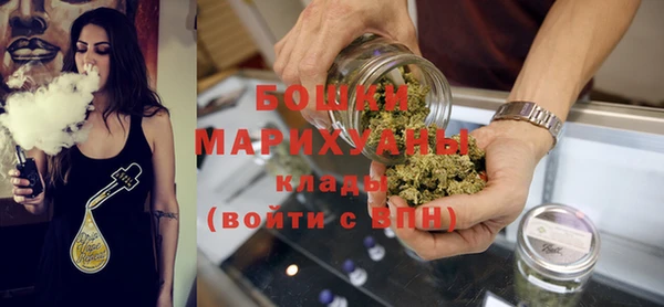 ПСИЛОЦИБИНОВЫЕ ГРИБЫ Белокуриха