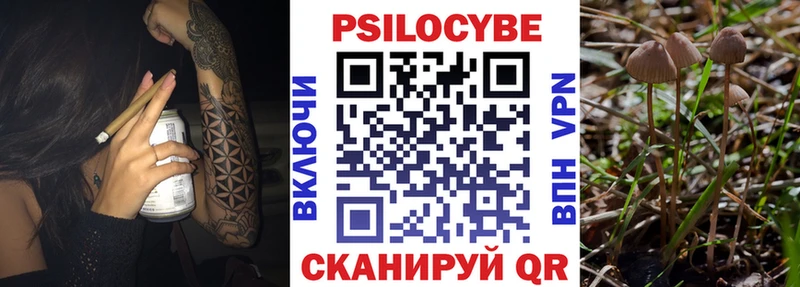 купить наркоту  Уссурийск  Галлюциногенные грибы Psilocybine cubensis 